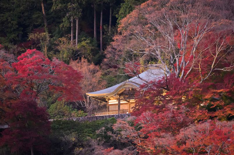 Daruma Temple фото превью