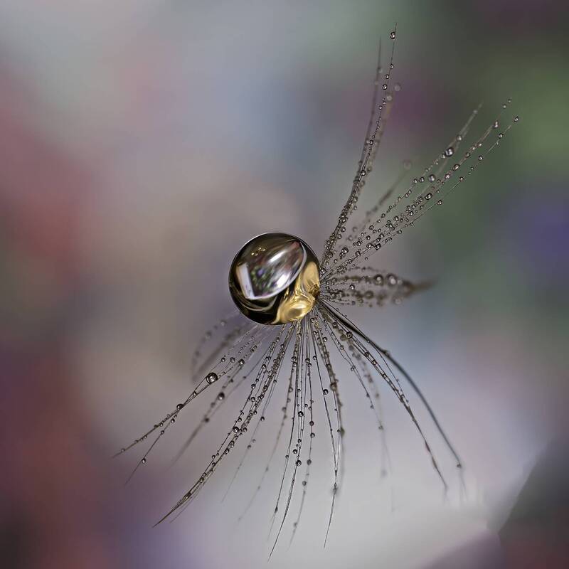 Drops фото превью