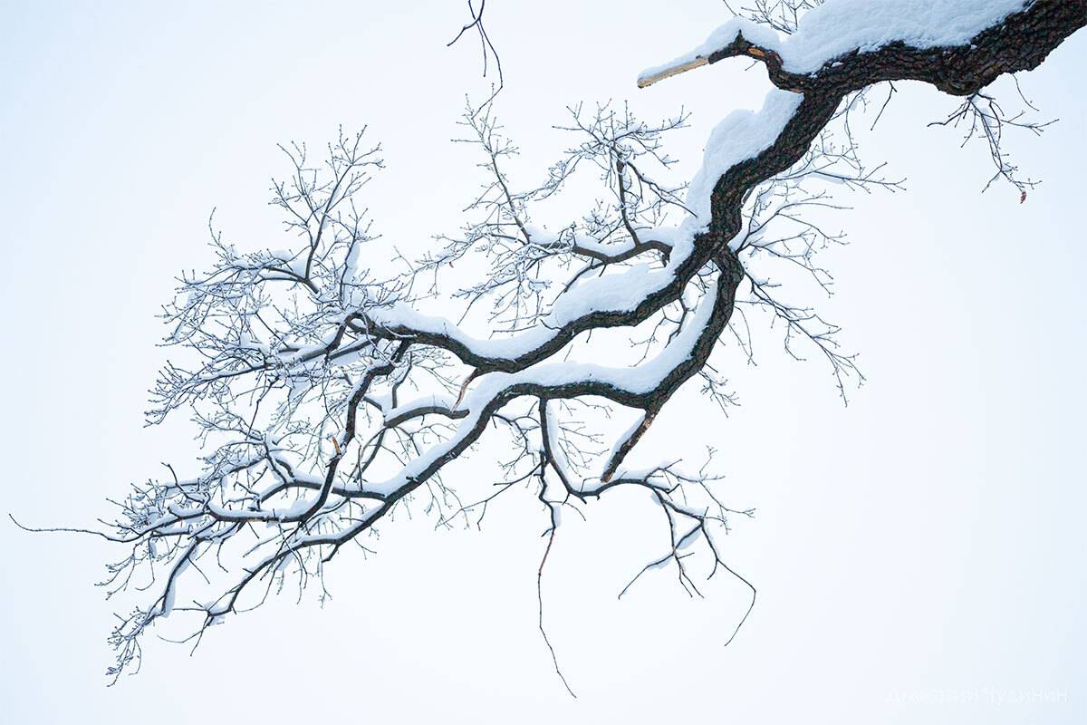 , Чудинин Дмитрий