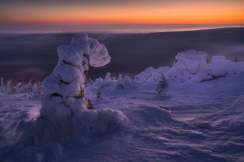 Холодная тундра фото превью