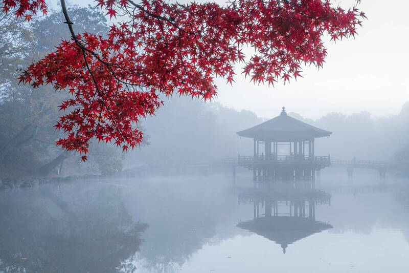 Япония. Огненная осень фото превью