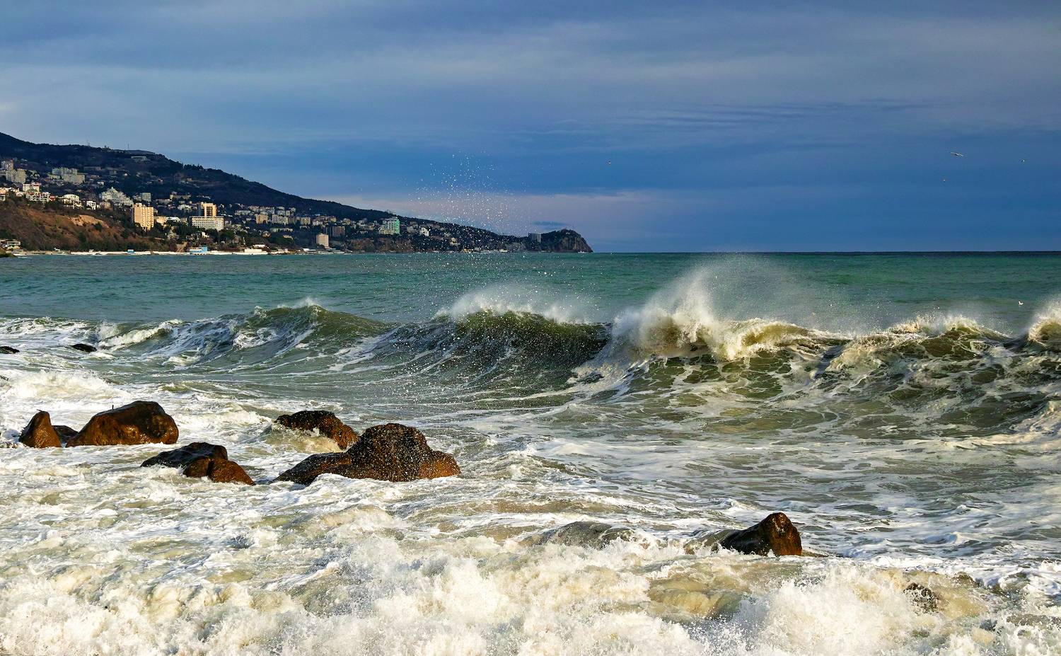 sigma sd quattro, Дмитрий Цыпляев