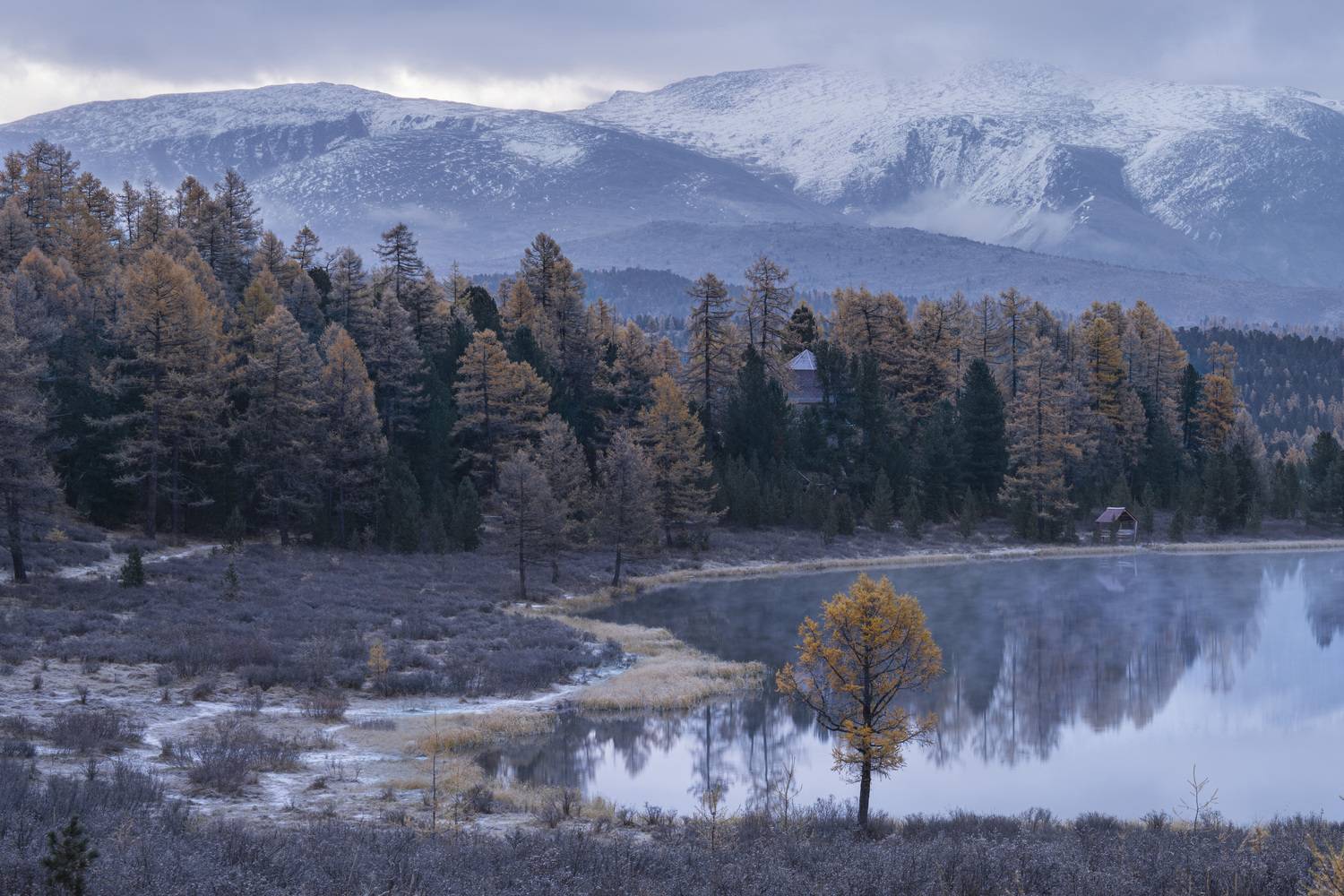 киделю, пейзаж, алтай, изморозь, озеро, Дейнекина Галина