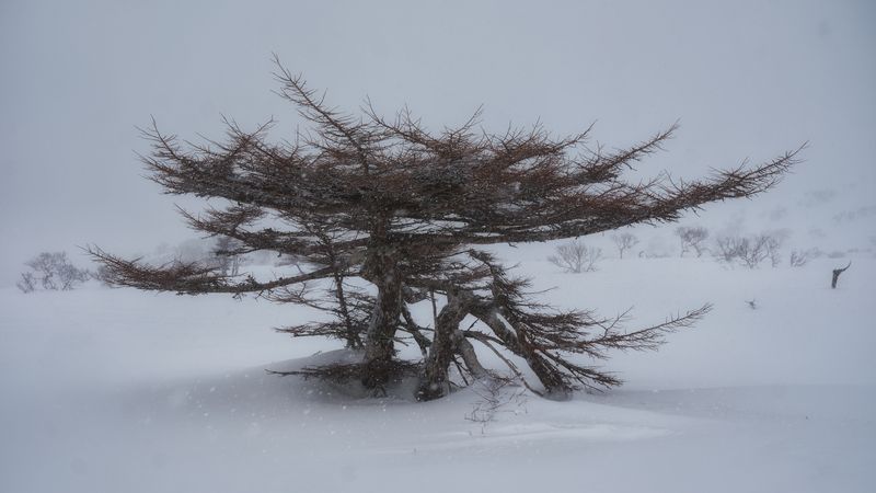 Итуруп Сахалин *** фото превью