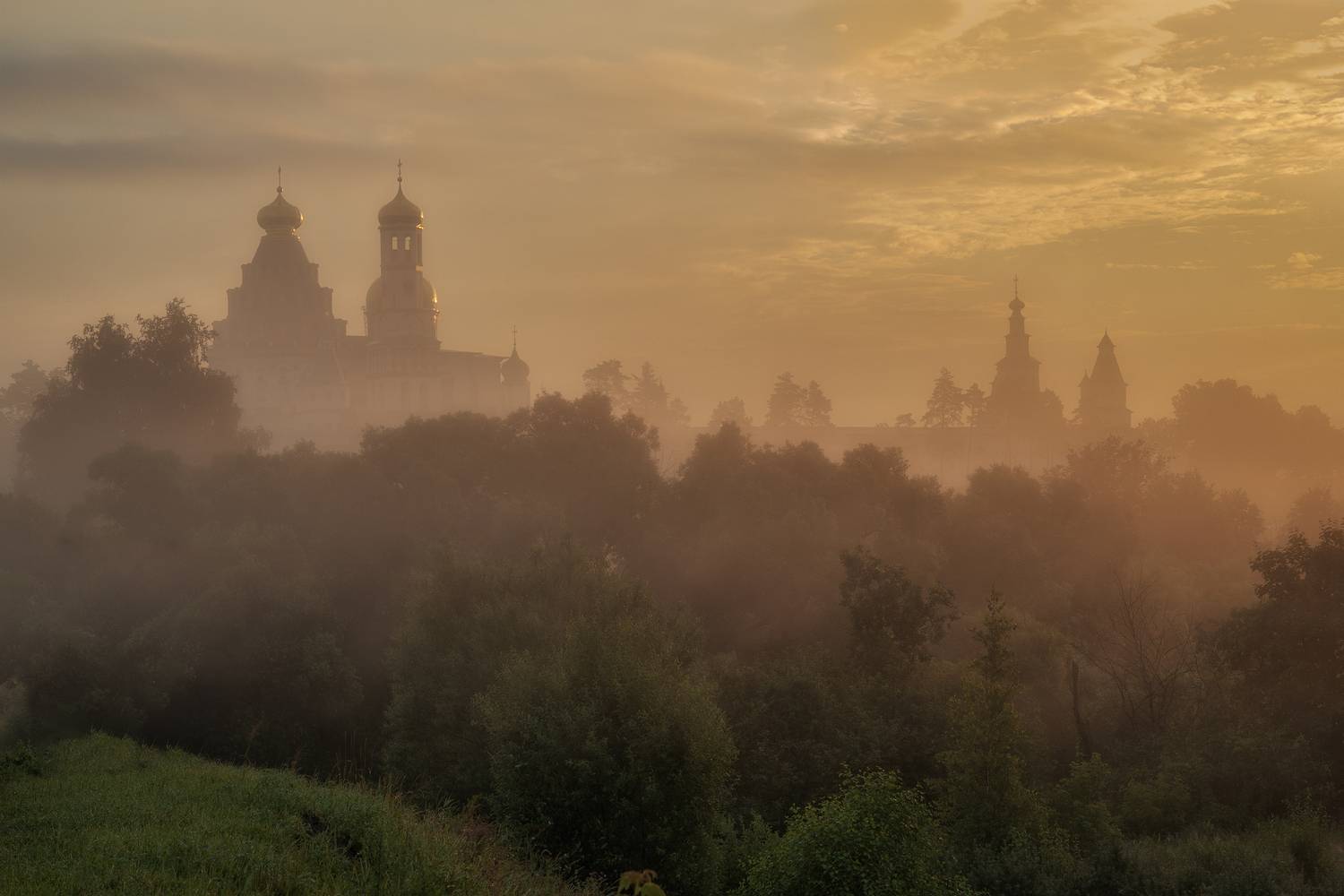 Истра, Гусева Елена