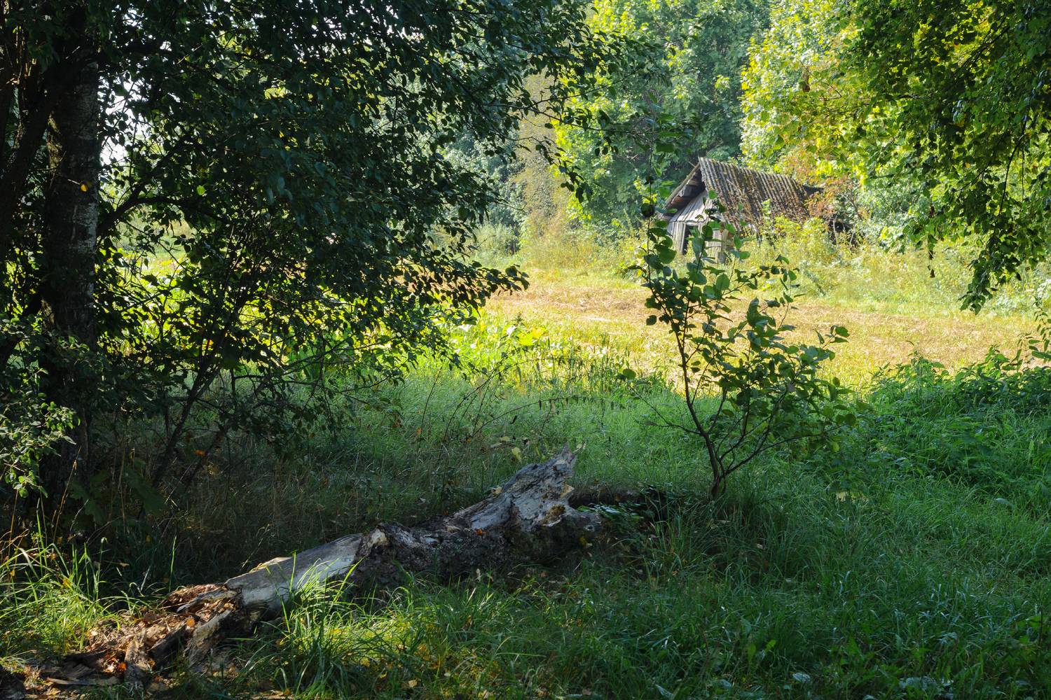 , Лысенко Сергей