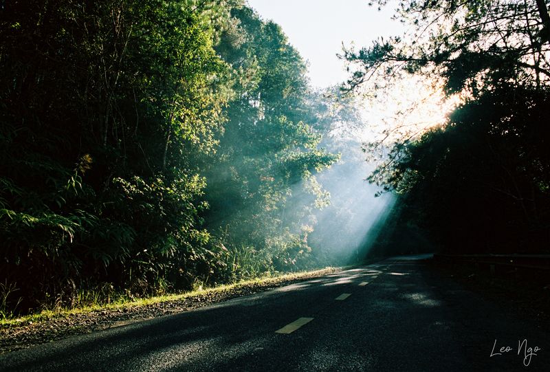 Morning lights фото превью