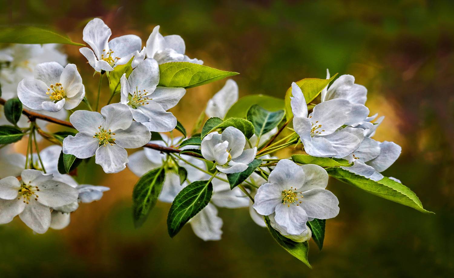 , Ушаков Валерий