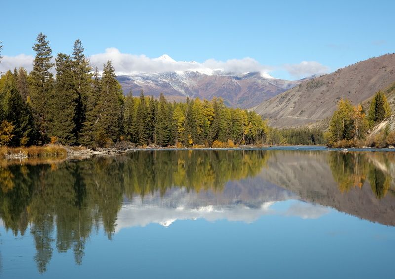 Алтай Алтайские просторы фото превью