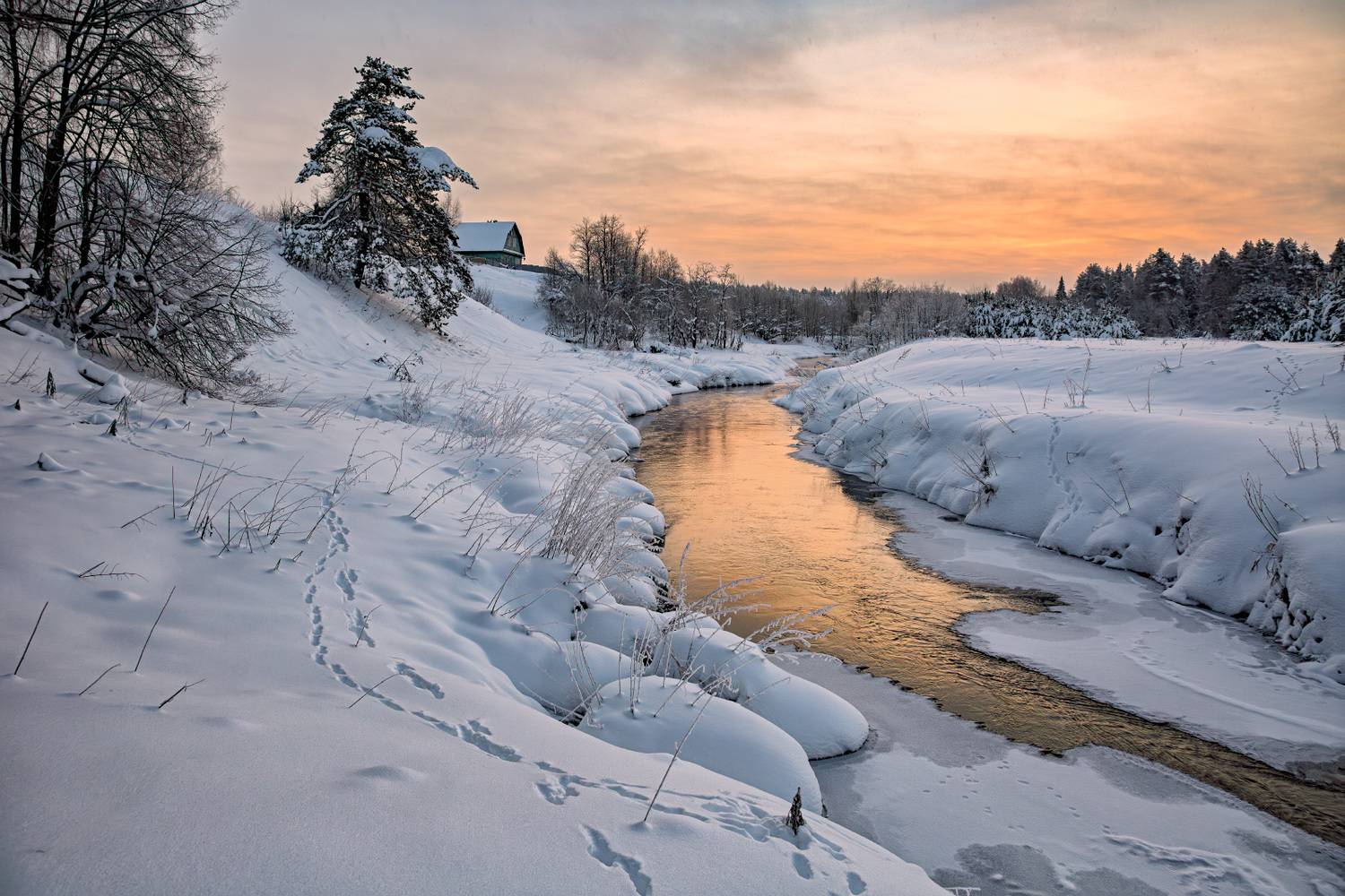 , Евгений Ерохин