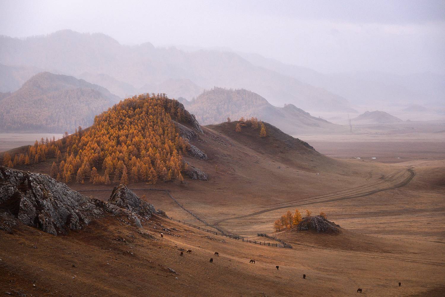 , Юлия Шустерова