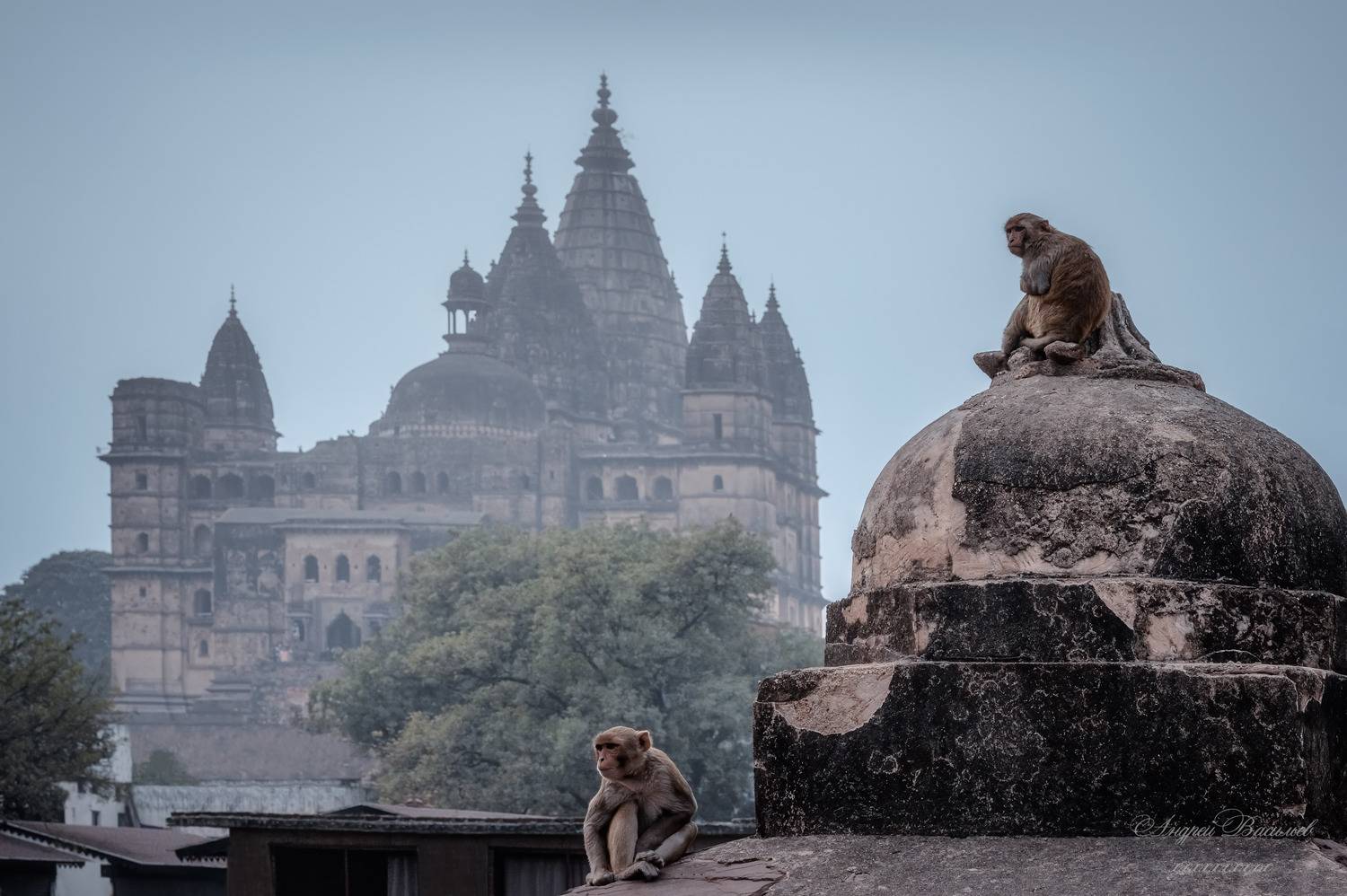 архитектура, городской пейзаж, орчха, индия, Васильев Андрей