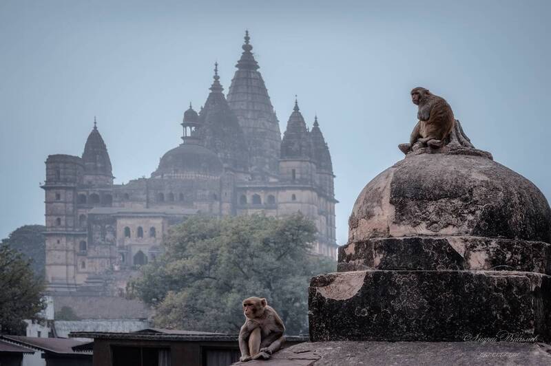 архитектура, городской пейзаж, орчха, индия Город Орчха(Индия). фото превью