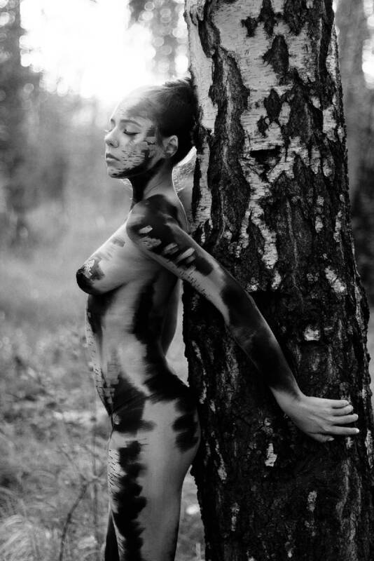 березка фото превью