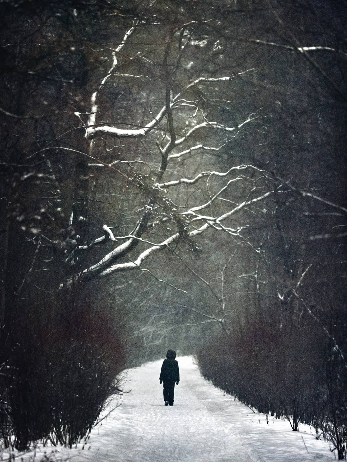 , Сергей Кот