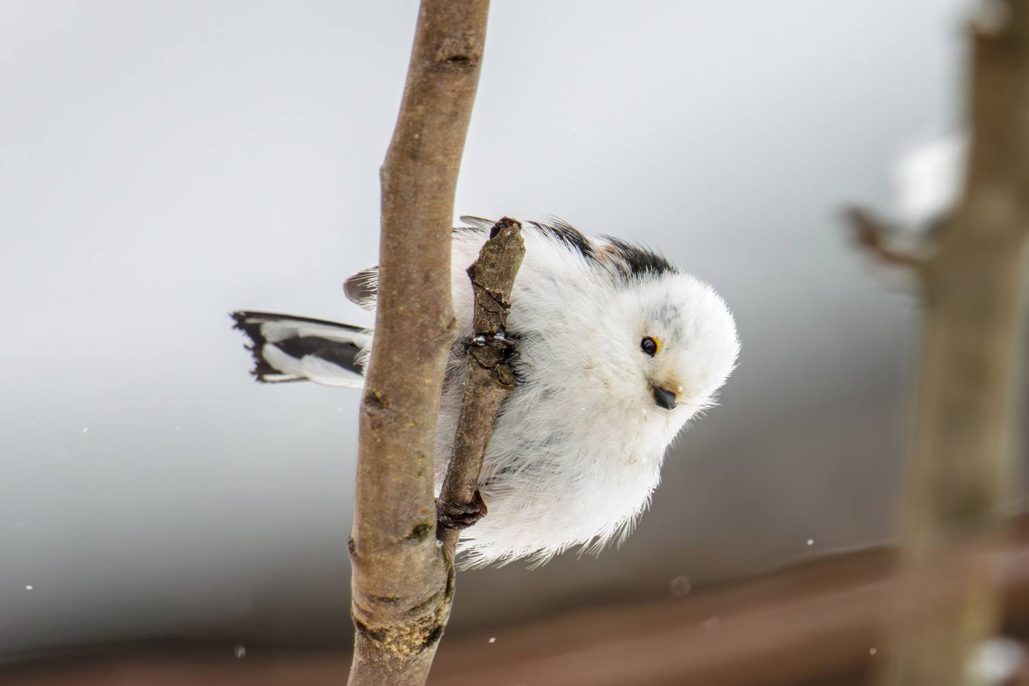 , Морозов Сергей