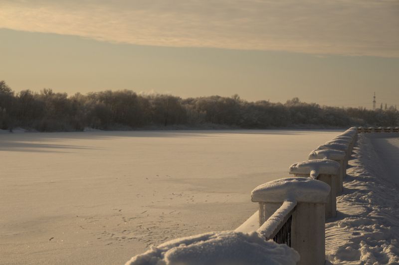 гомель, беларусь, зима, городской пейзаж, белка январское утро фото превью