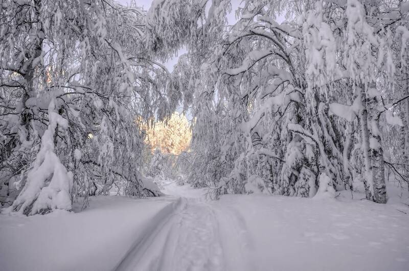 Дорога к свету фото превью