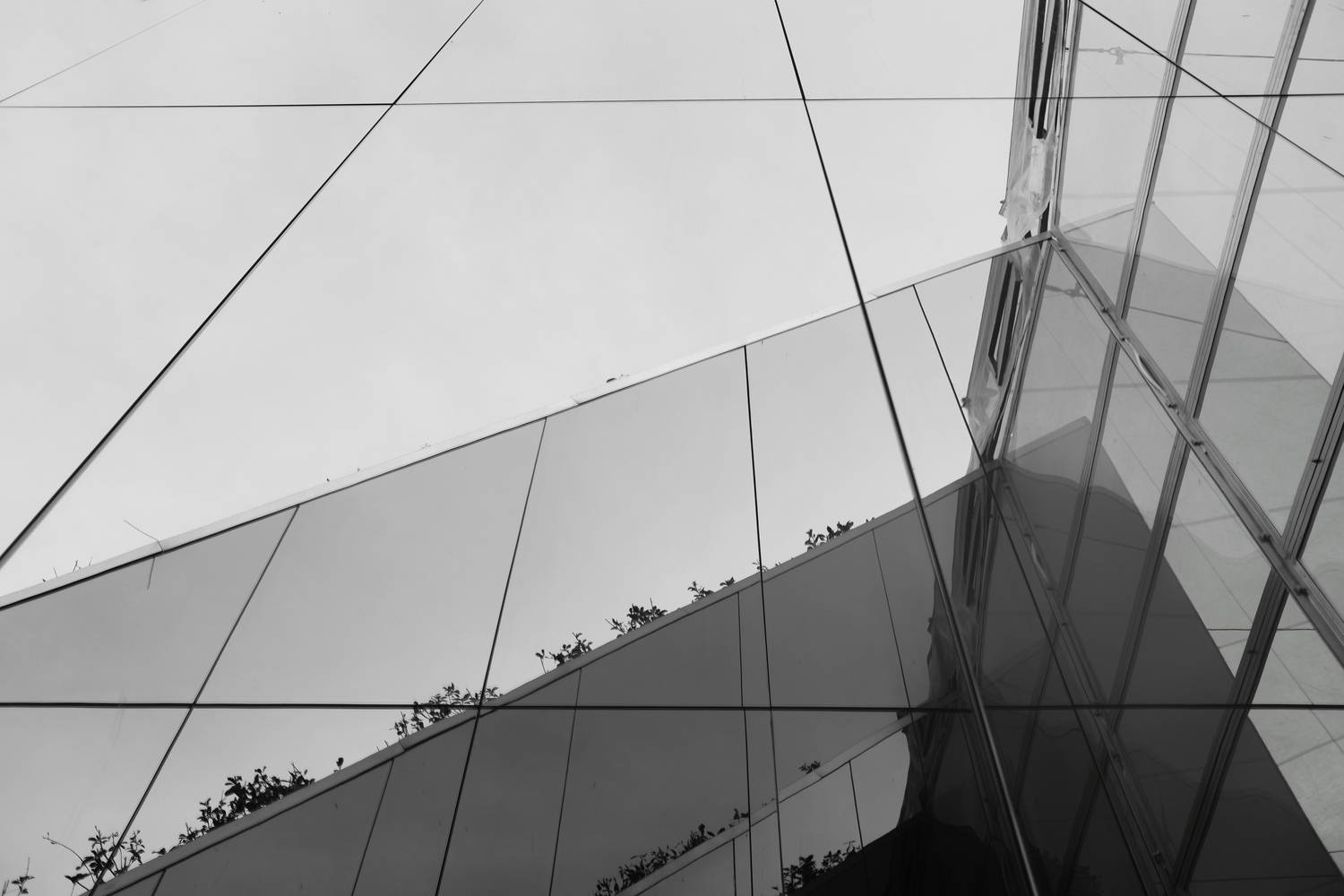 отражения, хаос, порядок, геометрия, углы, Зорин Миша