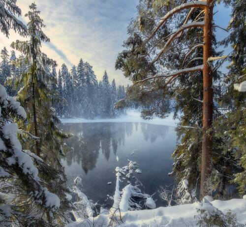 Озеро Теплое морозным утром января.