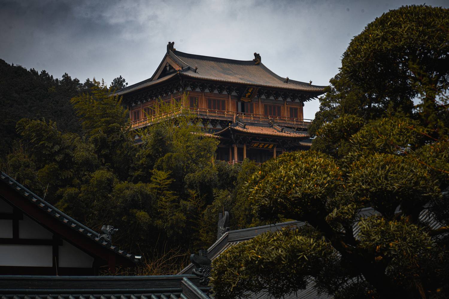 , Aleksandr Kolonsky