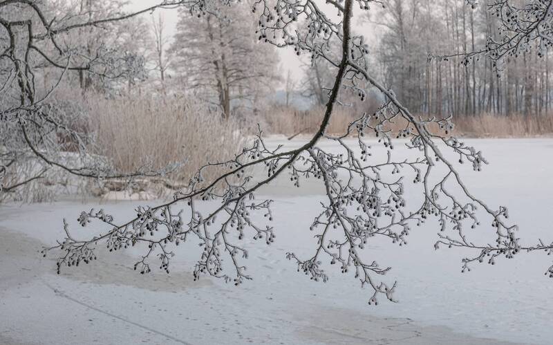 Зимние кружева фото превью