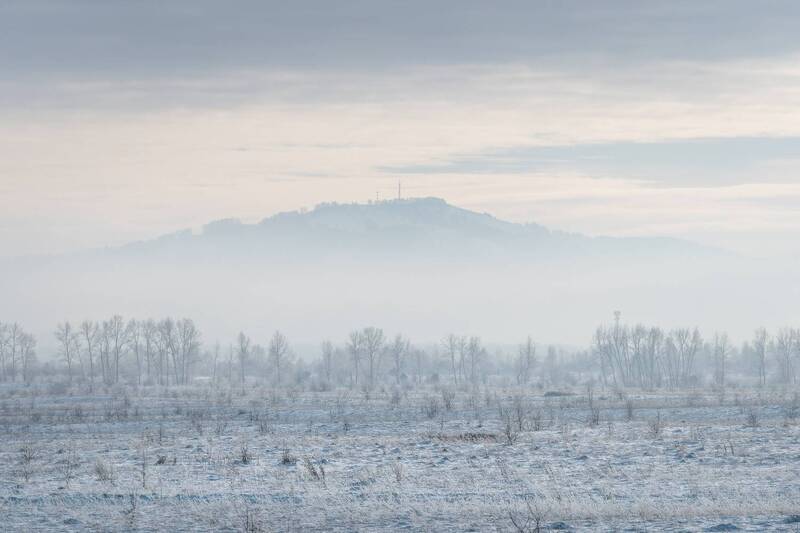 Звенящая морозная тишина… Ringing frosty silence... фото превью