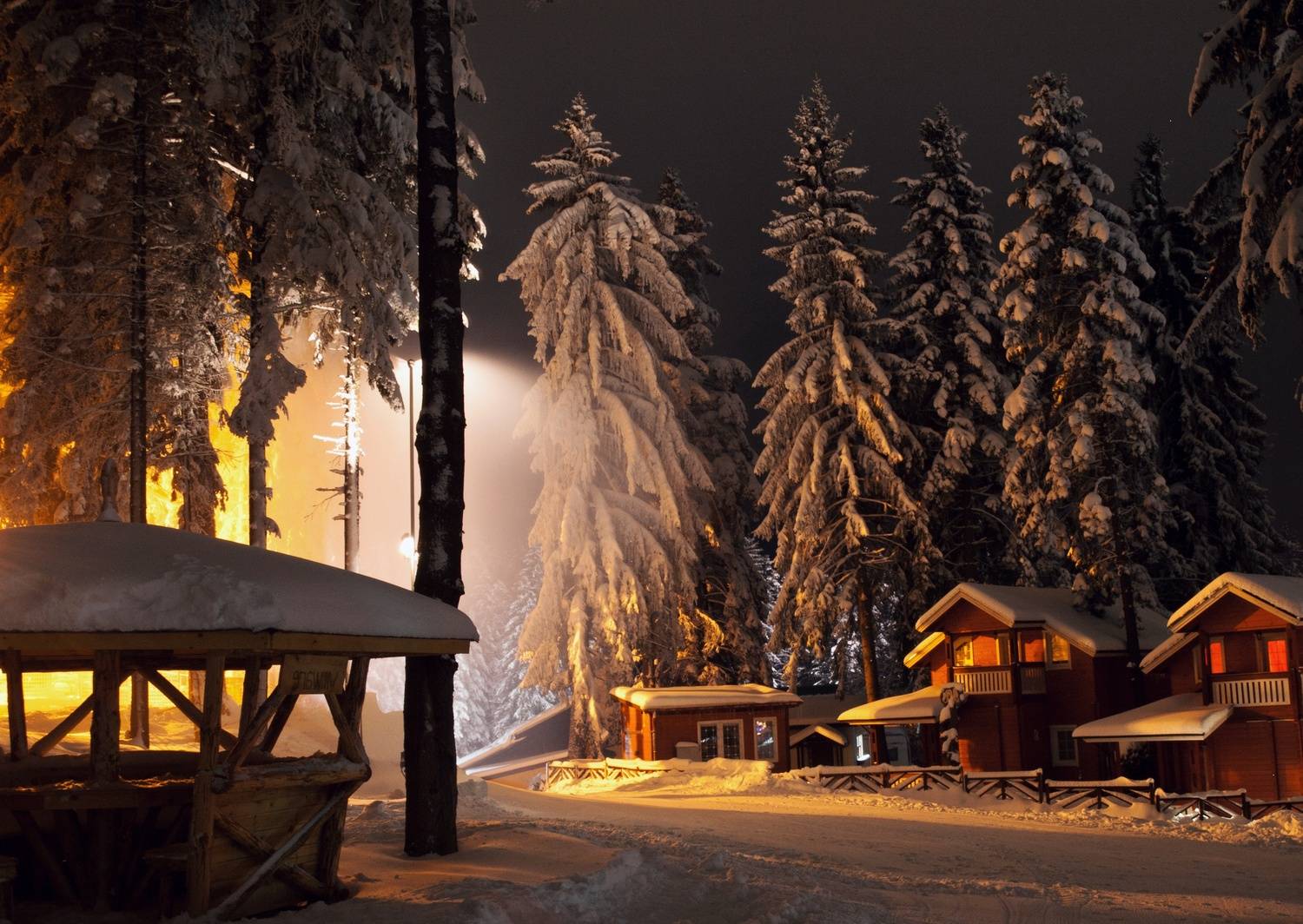 , Герчев Николай