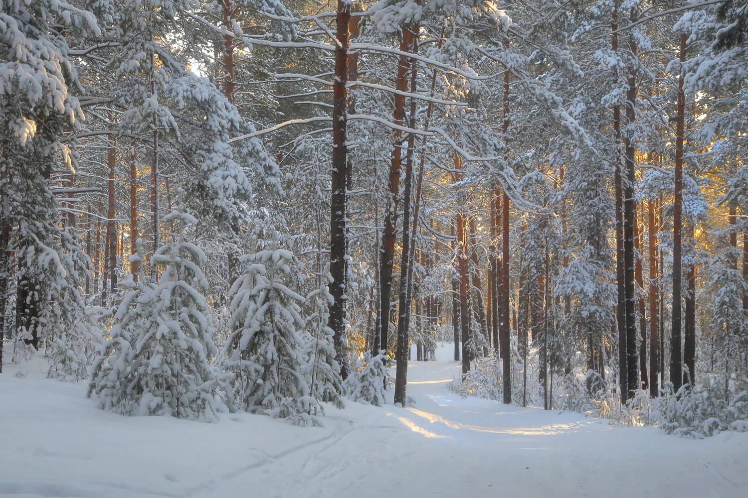, Евгений Зинов