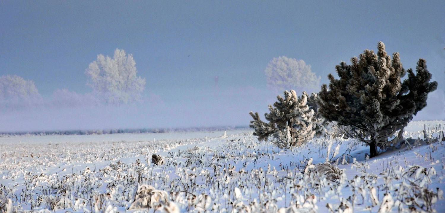 , Крат Светлана