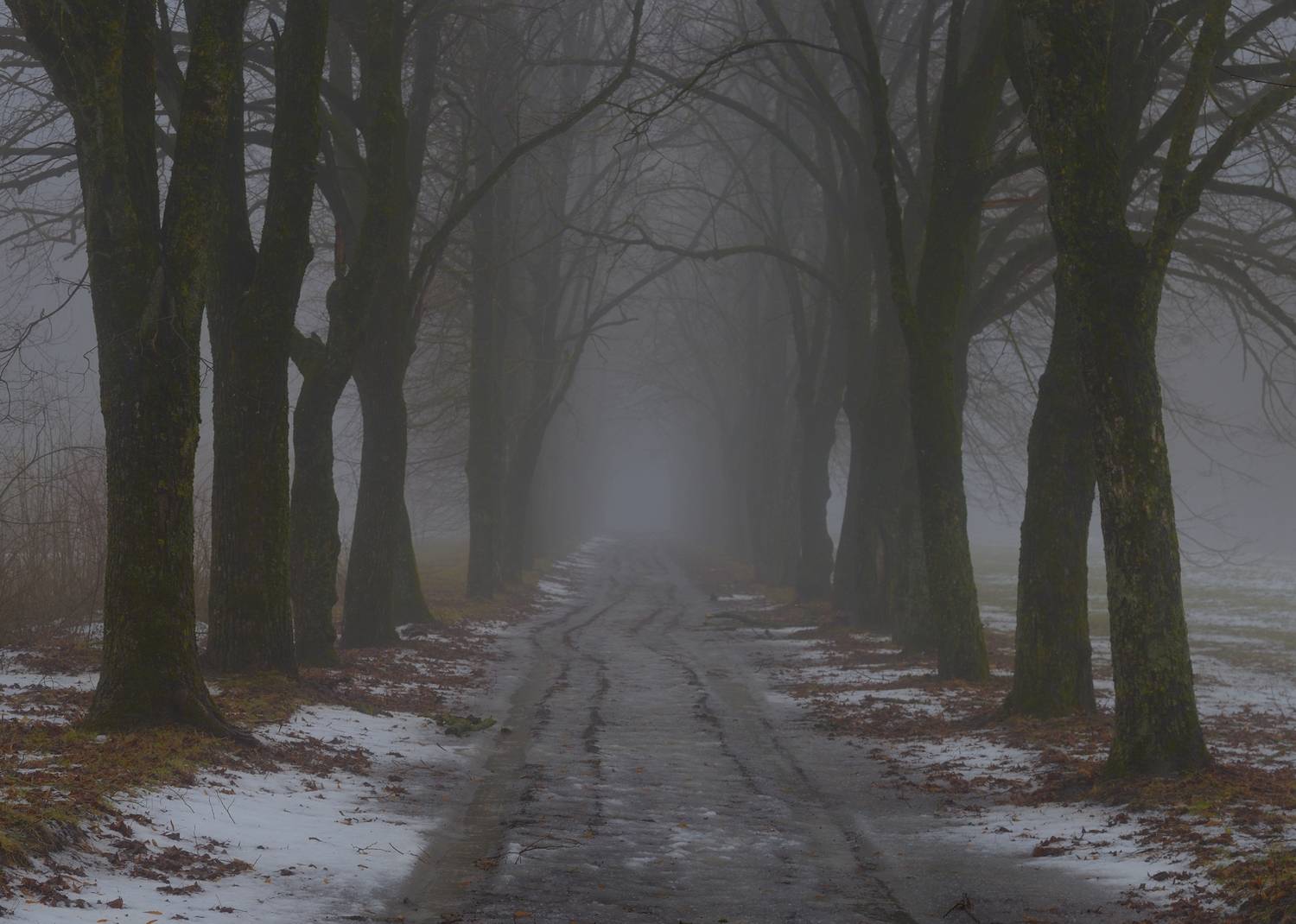 зима туман дорога, Александр Жарников
