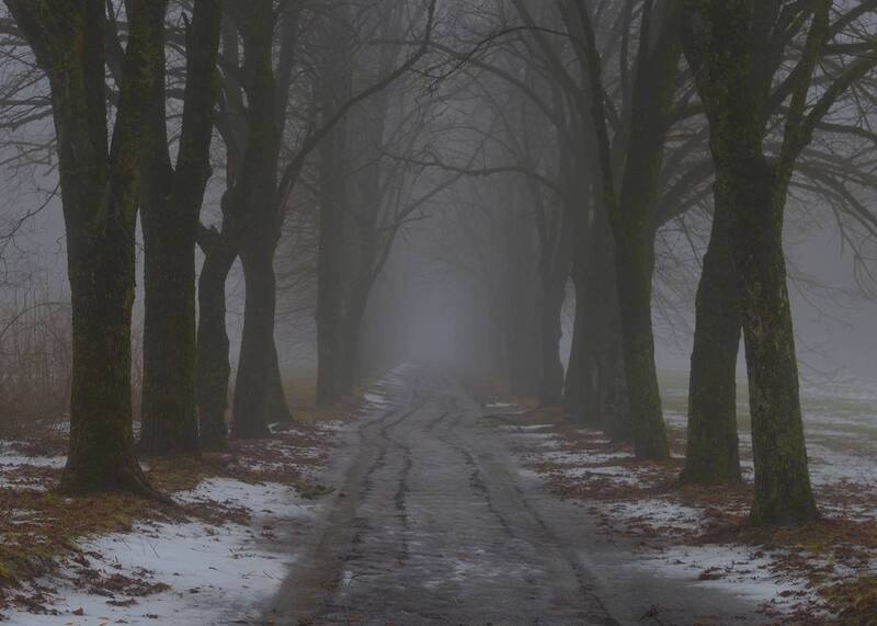 зима туман дорога Туманная аллея фото превью