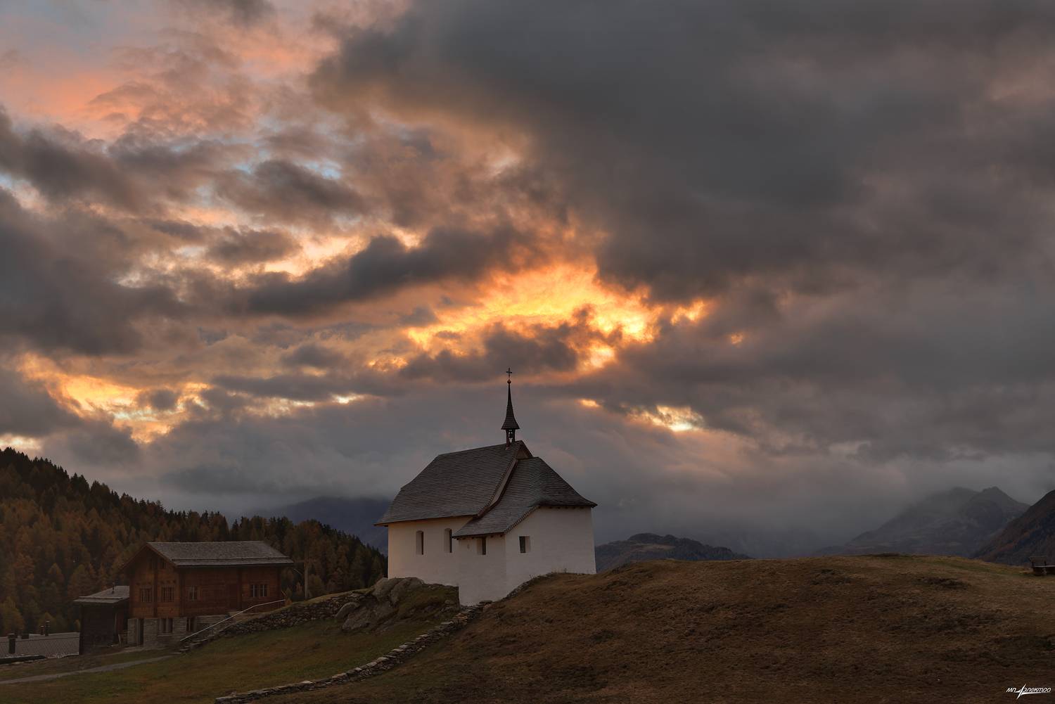 swiss, Матвеев Николай