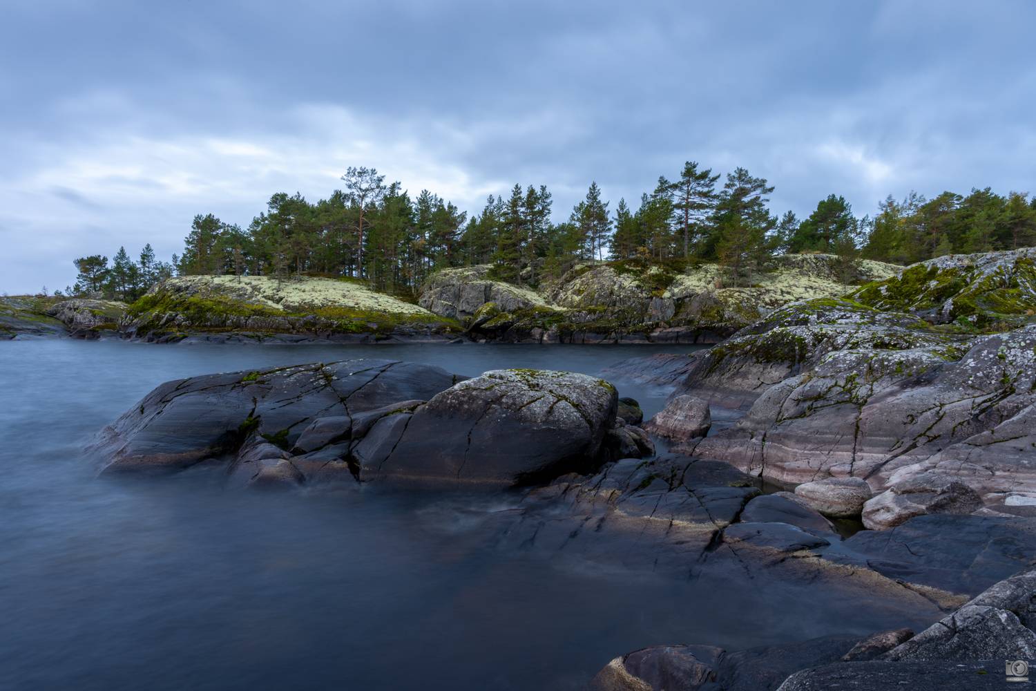 ладога, Дмитрий Ковалев