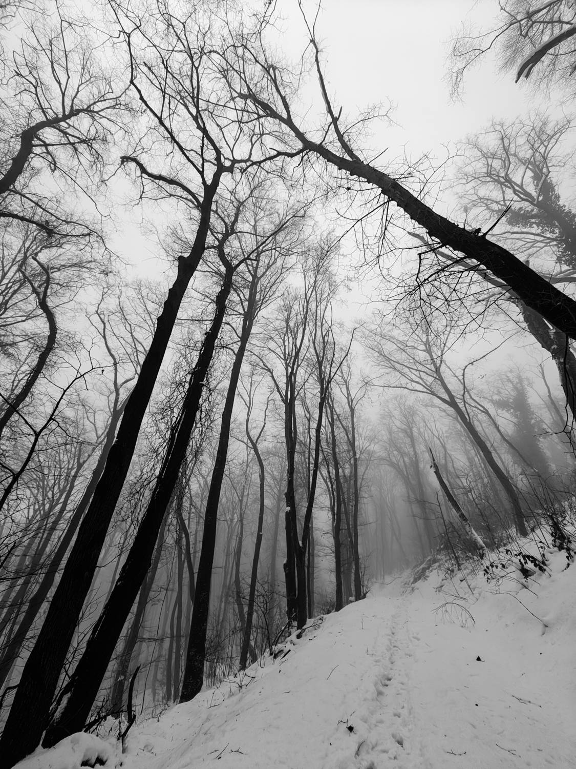 , Шилов Александр