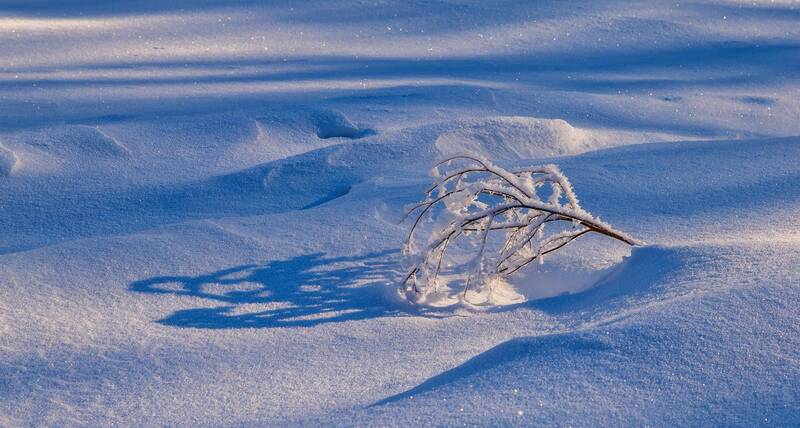 Свет и тень.. фото превью