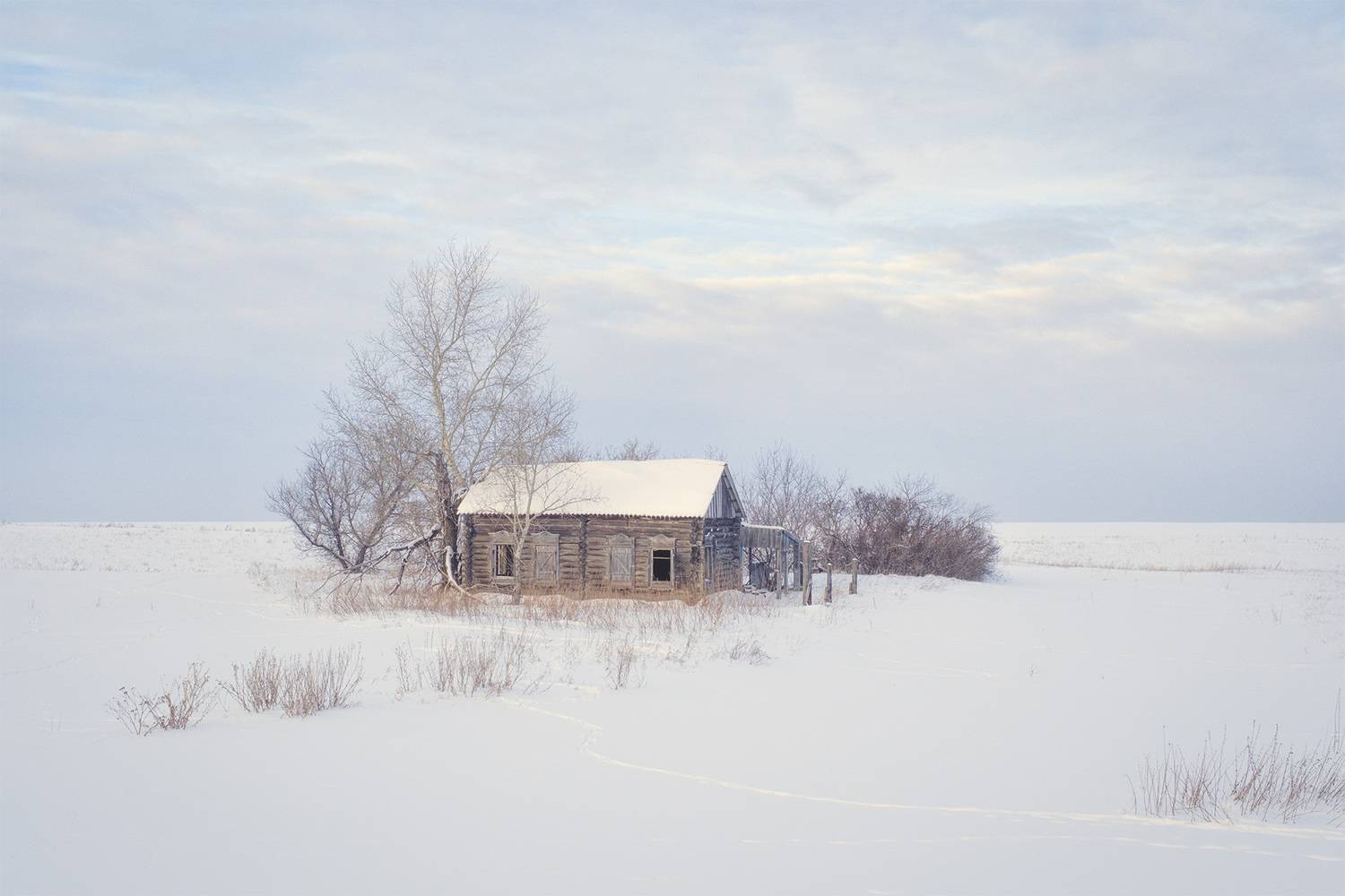 , Бодрягин Виталий