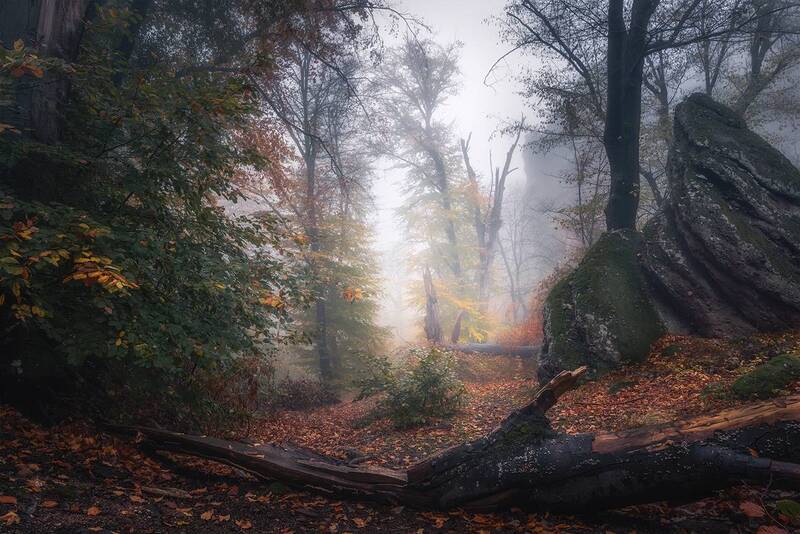 landscape, nature, scenery, forest, wood, autumn, mist, misty, fog, foggy, mountain, rocks, bulgaria, туман, лес, oсень An enchanted path leads me фото превью