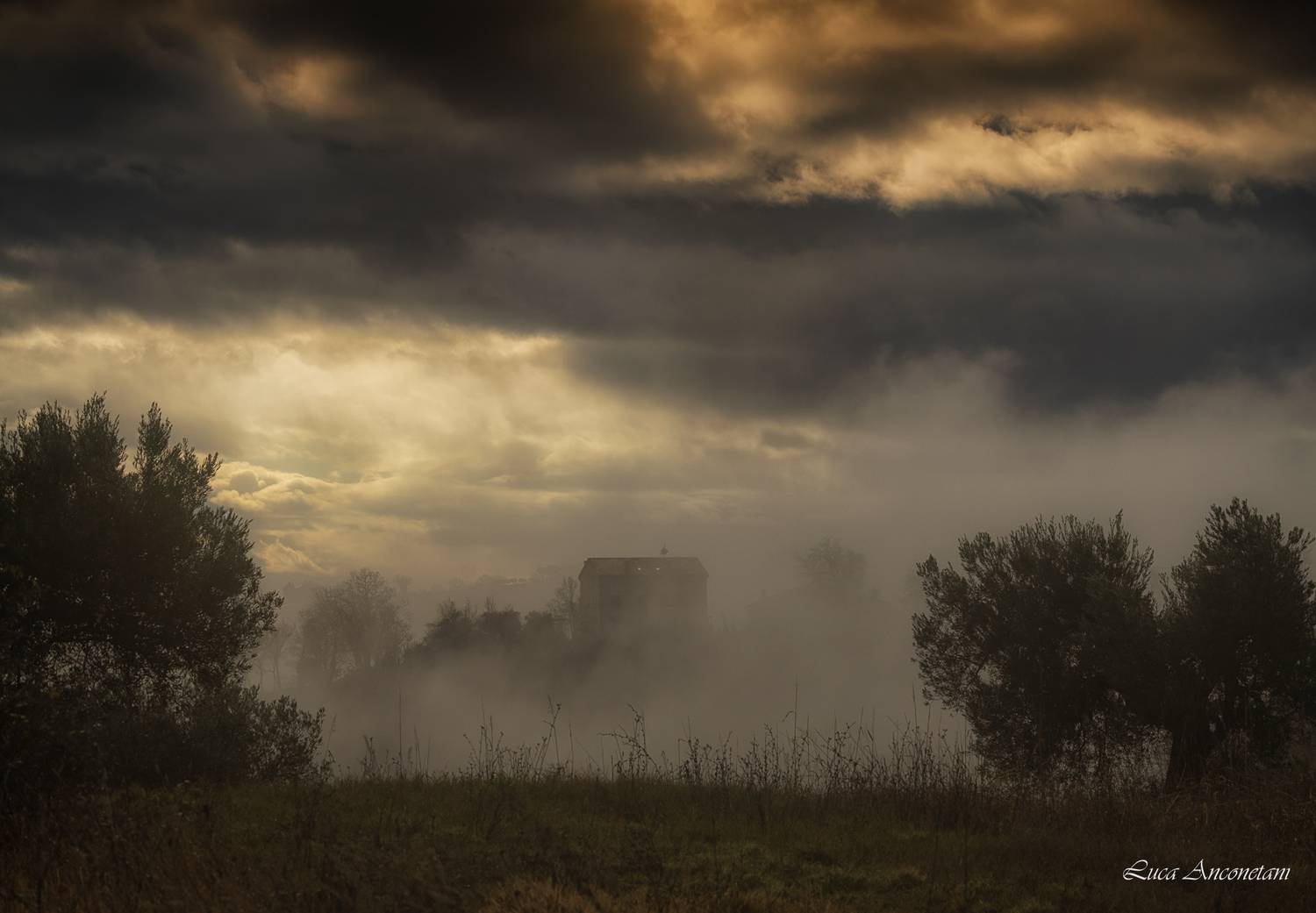 fog nature landscape outdoor trees le marche clouds dramatic sky, Anconetani Luca