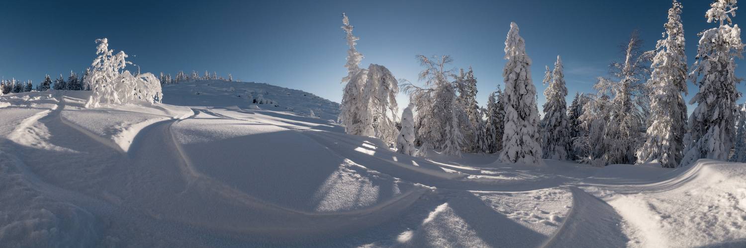 , Обухов Николай