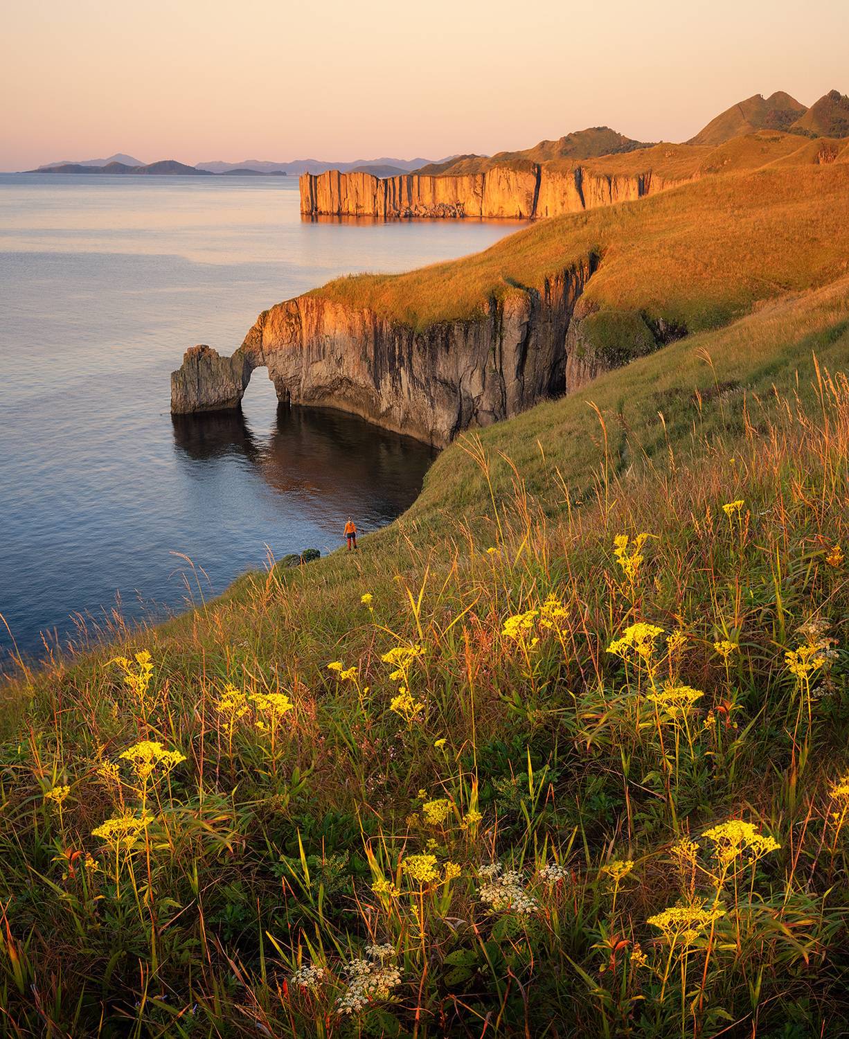 , Андрей Родионов
