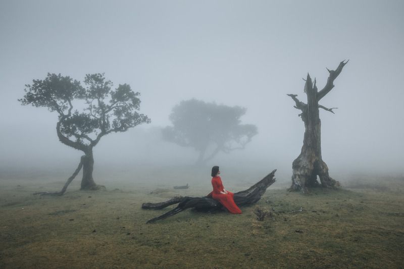 Nostalgy фото превью