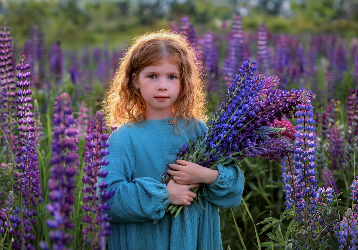 Девочка, люпины, поле цветов, вечер, закат, Герцен Наталья