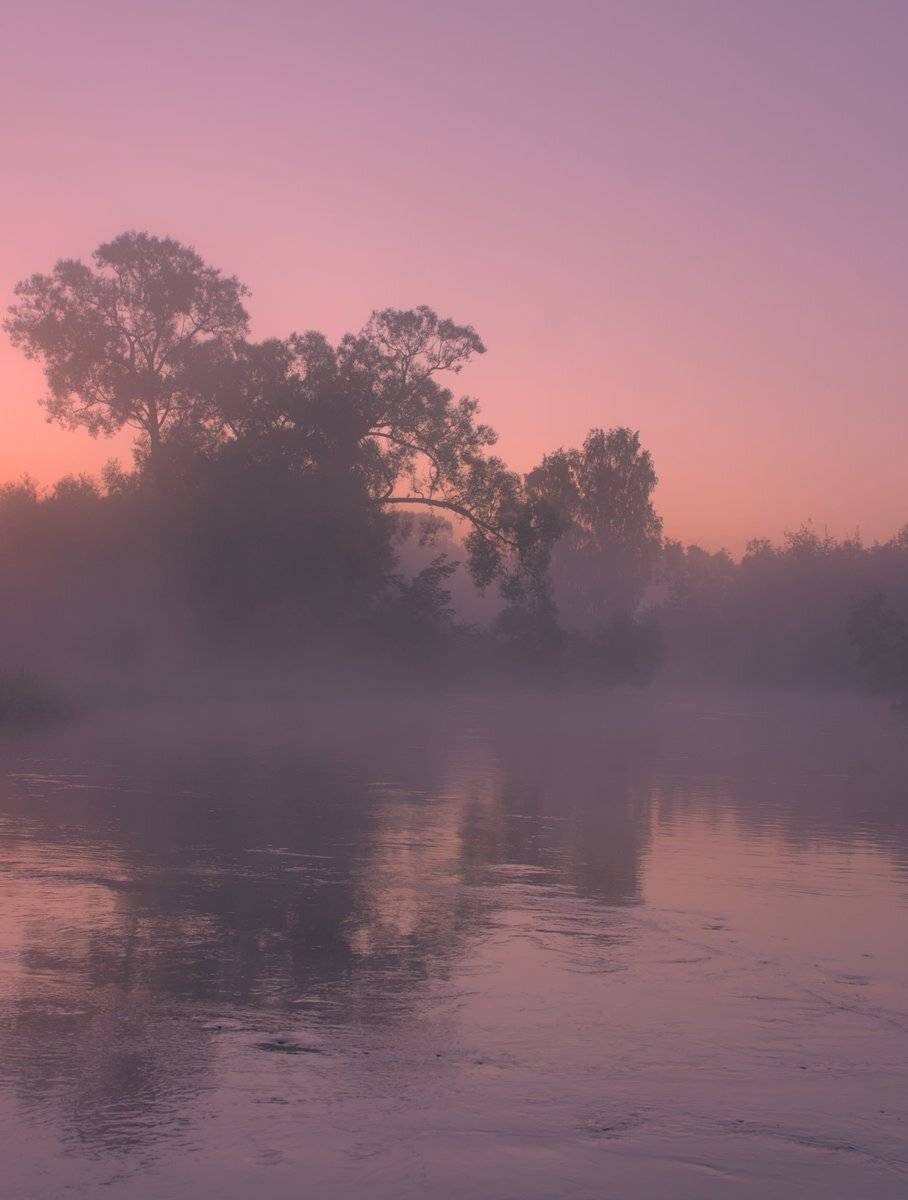 , Николай Потапов