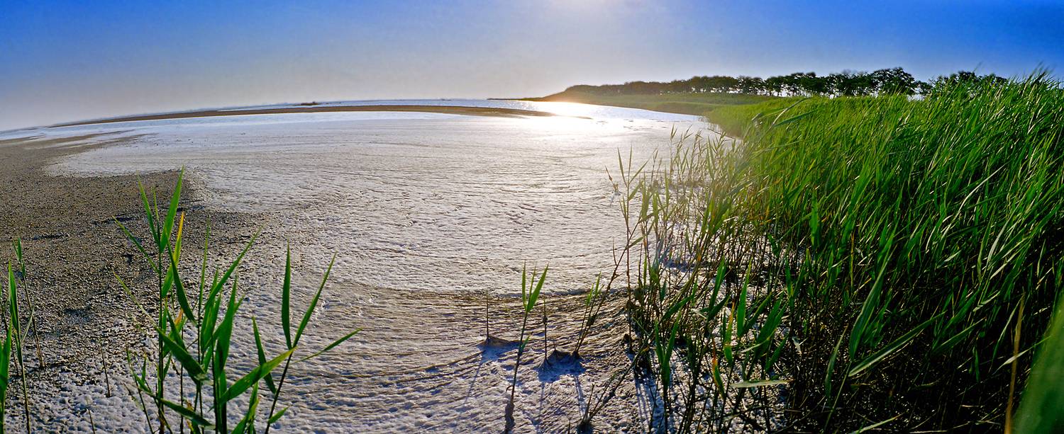, Андрей Петросян
