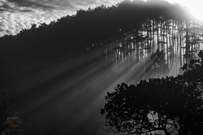 Early morning lights фото превью