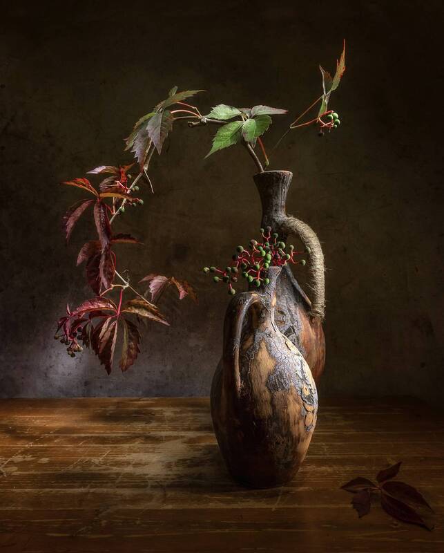 Девичий виноград фото превью