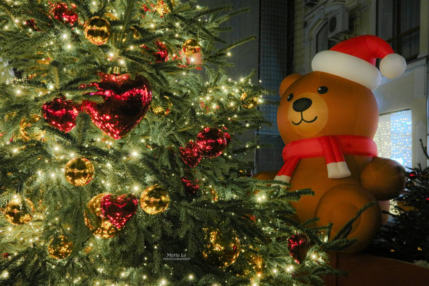 москва огнибольшогогорода зимняясказка сказкавгороде рождество проектзимавмоскве рождественскоенастроение снег рождественскиеогни новогодниеогни зимавгороде миригрушек ели игрушки ель, Maria Lo