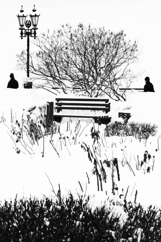 Зима фото превью