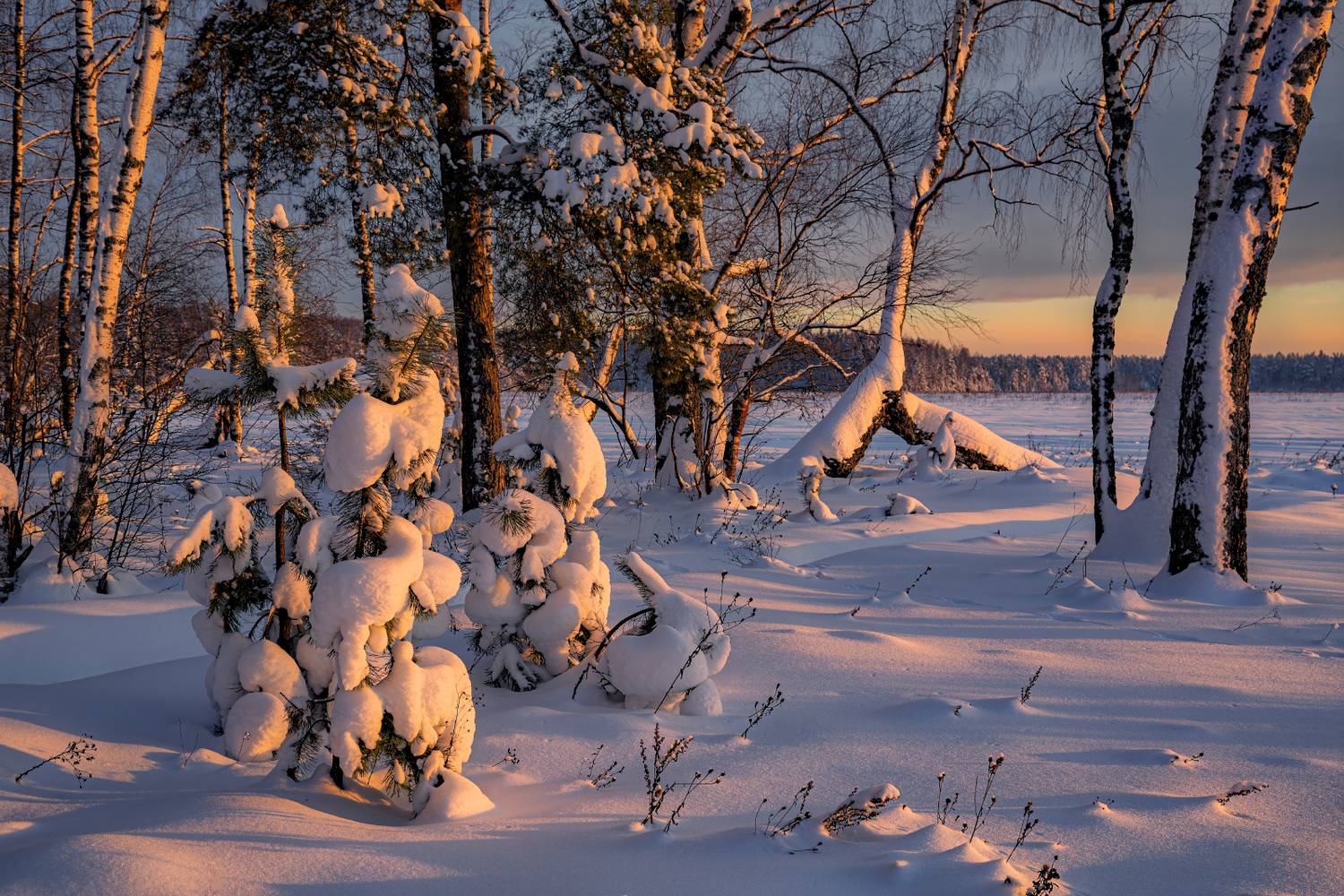 , Евгений Ерохин